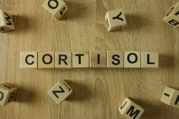 The Hidden Connection: How Stress Shapes Your Fitness and Body Composition 2 Image saying "Cortisol" and how stress Oxfordshire impacts your wellbeing and bodies shape